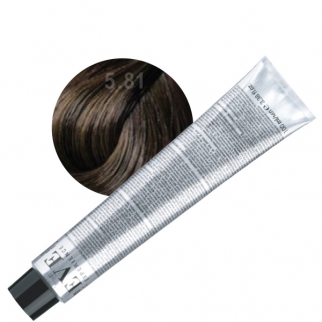 Farmavita Eve Experience 5.81 - profesionálna farba na vlasy