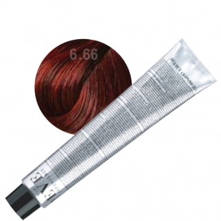 Farmavita Eve Experience 6.66 - profesionálna farba na vlasy